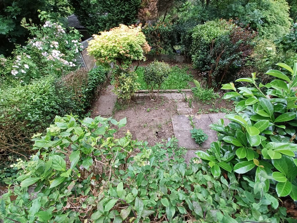 Park View Terrace
